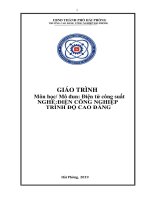 Giáo trình Điện tử công suất (Ngành Điện công nghiệp)