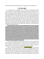 Đề tài chiến lược marketing giày bitis hunter thâm nhập vào thị trường thái lan 