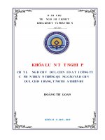 Chất lượng dịch vụ du lịch nội địa tại công ty cổ phần truyền thông quảng cáo và dịch vụ du lịch đại bàng, tỉnh thừa thiên huế 