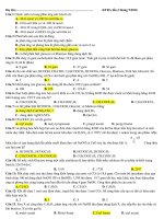 de kiem tra thang 9 so 2