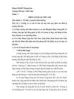 PHIEU DANH GIA TIEU CHUAN 1