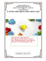 Pham Thi Trang DHTHB K4