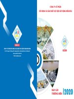 CÔNG TY CỔ PHẦN XÂY DỰNG VÀ SẢN XUẤT VẬT LIỆU XÂY DỰNG BIÊN HÒA BÁO CÁO THƯỜNG NIÊN 2020