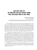 ĐẠO PHẬT KHẤT SĨ: SỰ TỔNG HÒA CỦA HAI TRUYỀN THỐNG PHẬT GIÁO NAM TÔNG VÀ BẮC TÔNG ĐĐ.TS Giác Hồng