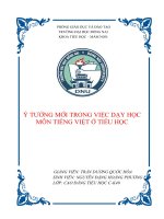 THCK40Nguyen Dang Hoang PhuongBKTGK