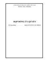 MAU HOP DONG UY QUYEN 