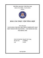 Báo cáo thực tập Tài chính ngân hàng tại Ngân hàng thương mại trách nhiệm hữu hạn một thành viên Đại Dương (Ocean Bank)