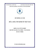 Tài liệu đô la hóa nền kinh tế việt nam