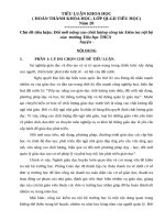 TIỂU LUẬN KHOA học tiểu luận đổi mới nâng cao chất lượng công tác kiểm tra nội bộ của  trường tiểu học THCS