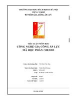 TIỂU LUẬN MÔN HỌC CÔNG NGHỆ GIA CÔNG áp LỰC 