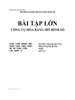 Bài tập lớn công cụ mô hình hóa bằng số (1) 