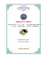 Tình hình thực hiện chương trình nông thôn mới trên địa bàn huyện nam đông, tỉnh thừa thiên huế 