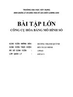 Bài tập lớn công cụ mô hình hóa bằng số (2) 