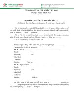 HỢP ĐỒNG NGUYÊN tắc hợp tác đầu tư 