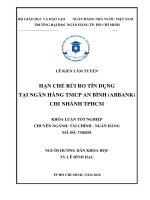 Tài liệu hạn chế rủi ro tín dụng tại ngân hàng TMCP an bình chi nhánh TP hồ chí minh