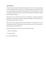 Tài liệu thiết kế hệ thống chiếu sáng thông minh có lưu trữ