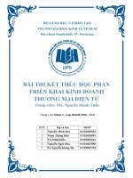 Bài thi kết thúc học phân kinh doanh thương mại điện tử ý TƯỞNG bánh dinh dưỡng DELEITE BAKER  your health buddy 