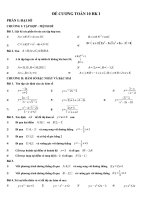 DE CUONG ON TAP TOAN LOP 10 HK1
