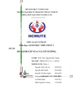 TIỂU LUẬN CUỐI KỲ môn học GIÁO DỤC THỂ CHẤT 3  đề TÀI  SO SÁNH CỜ VUA VÀ CỜ TƯỚNG 