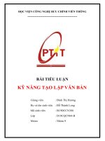 Bài tiểu luận môn kĩ năng tạo lập văn bản (1) 