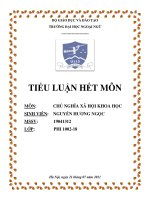 Tiểu luận môn chủ nghĩa xã hội khoa học, đại học ngoại ngữ hà nội (45) 