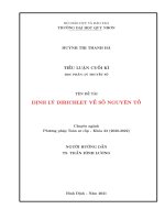 Định lí dirichlet về số nguyên tố và số fecma