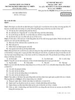 DE THI THU HOC KY I HOC PHAN TIEN HOA VA DA DANG SINH HOC SHH011 DH KHOA HOC TU NHIEN TPHCM