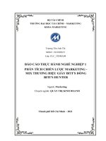 BÁO CÁO THỰC HÀNH NGHỀ NGHIỆP 1 PHÂN TÍCH CHIẾN LƯỢC MARKETING   MIX THƯƠNG HIỆU GIÀY BITI’S DÒNG BITI’S HUNTER 