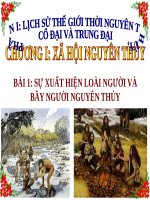 BÀI GIẢNG ĐIỆN TỬ powerpoint BÀI 1 SỬ 10 SỰ XUẤT HIỆN LOÀI NGƯỜI VÀ BẦY NGƯỜI NGUYÊN THỦY