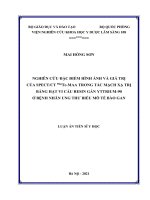 Nghiên cứu đặc điểm hình ảnh và giá trị của SPECTCT 99mTcMAA trong tắc mạch xạ trị bằng hạt vi cầu Resin gắn Yttrium90 ở bệnh nhân ung thư biểu mô tế bào gan.