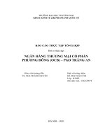 Báo cáo thực tập tổng hợp NGÂN HÀNG THƯƠNG MẠI CỔ PHẦN PHƯƠNG ĐÔNG OCB