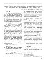 Đặc điểm lâm sàng, hình thái tổn thương và kết quả điều trị chấn thương, vết thương động mạch chi dưới tại Bệnh viện Hữu nghị Việt Tiệp
