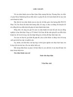 Luận văn Hoàn thiện chiến lược marketing sản phẩm sơn của công ty CP Sobek Việt Nam