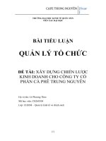 XÂY DỰNG CHIẾN LƯỢC KINH DOANH CHO CÔNG TY CỔ PHẦN CÀ PHÊ TRUNG NGUYÊN 