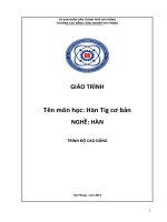 Giáo trình Hàn Tig cơ bản (Nghề Hàn)