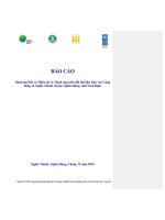 BÁO CÁO Đánh giá Rủi ro Thiên tai Thích ứng biến đổi khí hậu Dựa vào Cộng đồng xã Nghĩa Thành, huyện Nghĩa Hưng, tỉnh Nam Định