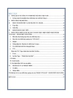 CHIẾN LƯỢC QUẢNG CÁO CỦA THƯƠNG HIỆU BIA TIGER   “TIGER UNCAGE ĐÁNH THỨC BẢN LĨNH 