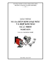 Giáo trình Hàn kim loại màu và hợp kim màu (Nghề Hàn)