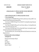 Kế hoạch dạy học phụ lục 2 tất cả bộ môn tiểu học