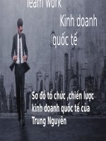 Sơ đồ tổ chức ,chiến lược kinh doanh quốc tế của trung nguyên 