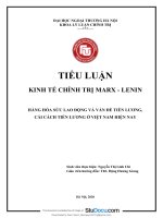 HÀNG HÓA SỨC LAO ĐỘNG VÀ VẤN ĐỀ TIỀN LƯƠNG, CẢI CÁCH TIỀN LƯƠNG Ở VIỆT NAM HIỆN NAY