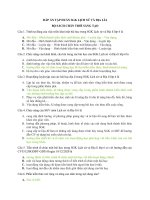 Dap an tap huan LSĐL 6   chan troi sang tao 