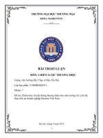 Bài thảo luận Đề tài: Chiến lược truyền thông thương hiệu trên môi trường số. Liên hệ thực tiễn tại doanh nghiệp Beamin Việt Nam