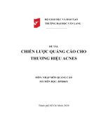 Chiến lược quảng cáo cho thương hiệu ACNES