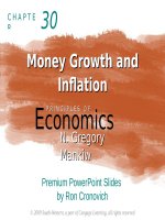 princ ch30 presentation 