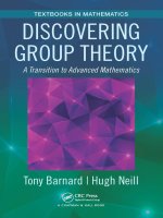 discovering group theory a transition to advanced mathematics pdf 