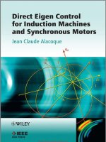 direct eigen control for induction machines and synchronous motors pdf 