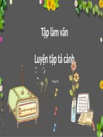 tập làm văn luyện tập tả cảnh