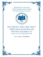 Bài thi kết thúc học phần triển khai kinh doanh thương mại điện tử ý tưởng bánh dinh dưỡng DELEITE BAKER “your health buddy”