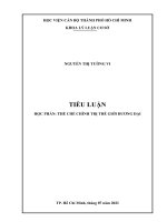 tiểu luận so sánh thể chế chính trị thế giới MỹNga